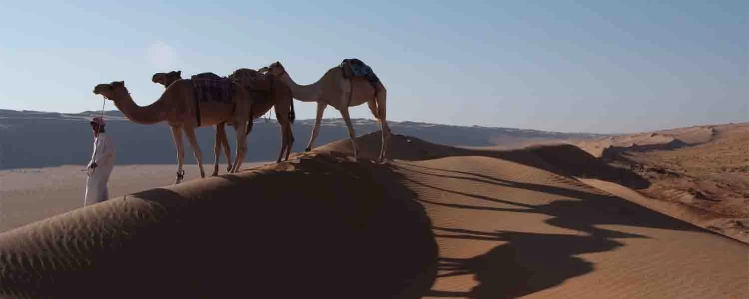 Desert Nights Camp-1